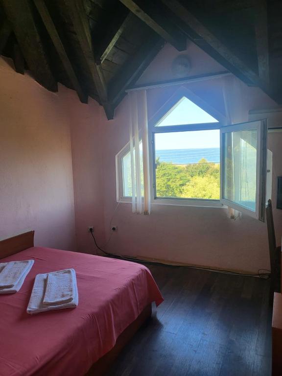 Guest House Plamena photo