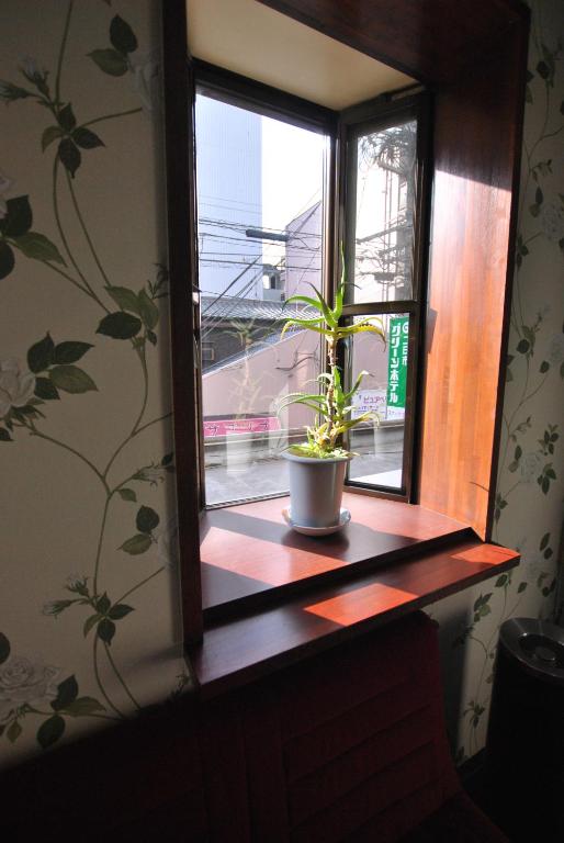 5. 후츠카이치 그린..