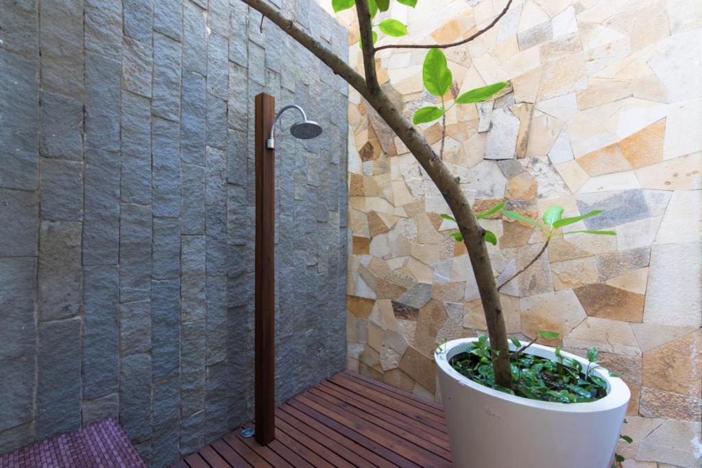 New oceanfront luxury Villa in Puerto Vallarta - 3
