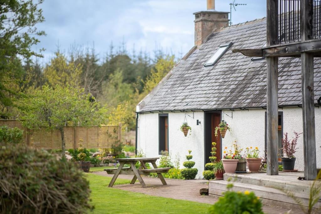 Cosy & rustic retreat - Woodland Cottage., Nairn