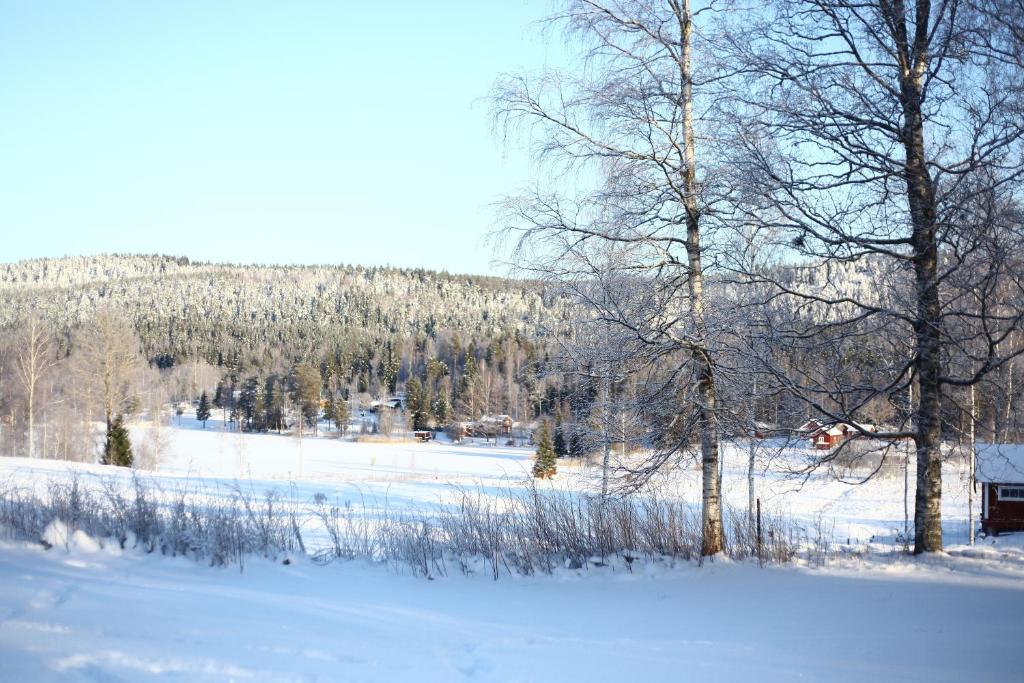 Nyhyttans Kurort photo