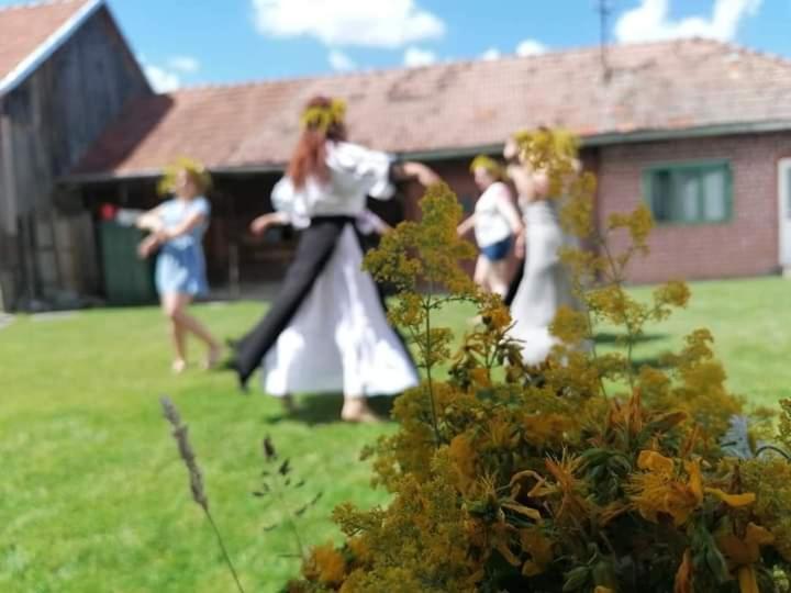 Conacul lui Radu photo