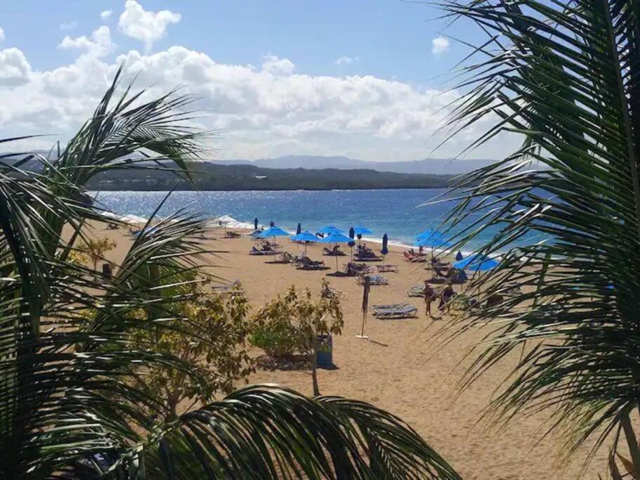 Beautiful Plaza Condo close to beach and amenities photo