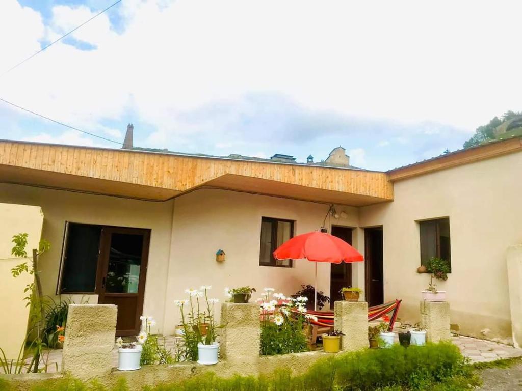 Guesthouse and Cottage Nicolo photo