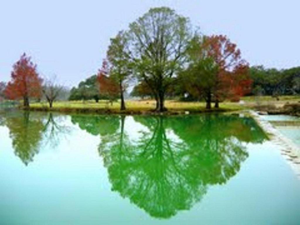 Blanco Riverside Cottages photo