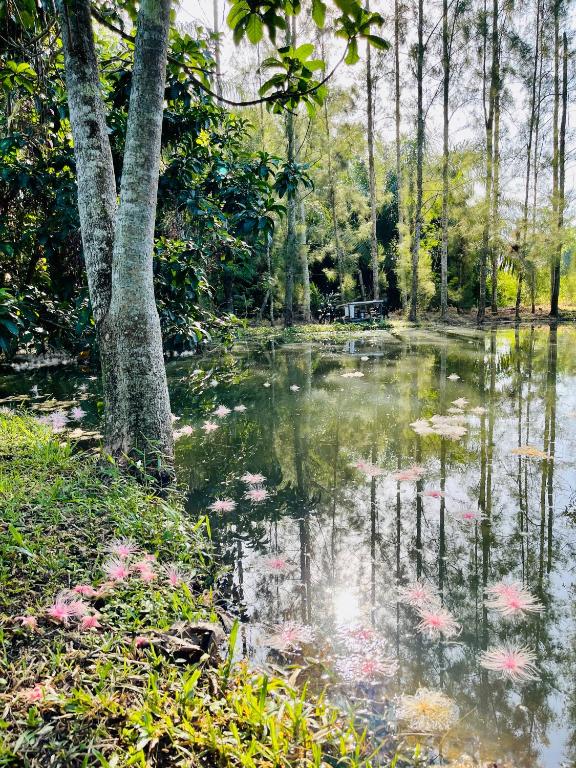 Surrounding environment