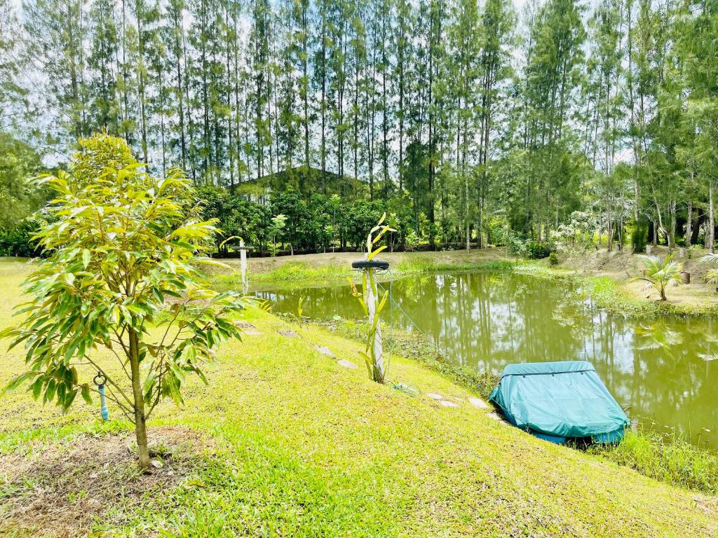 Surrounding environment