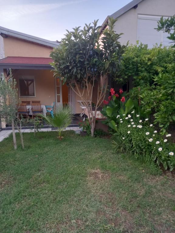 Bungalo Đeković - 2