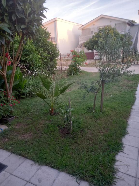 Bungalo Đeković - 3