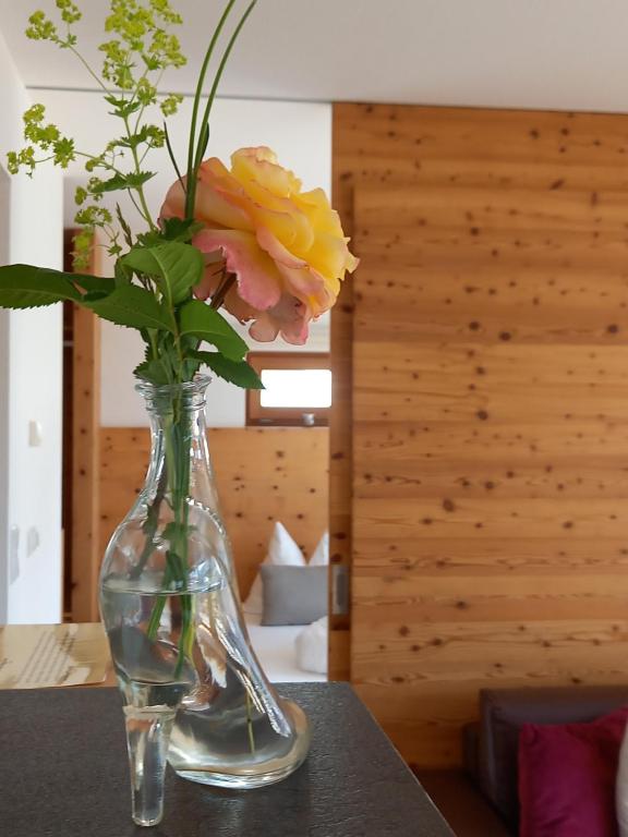 chalet naturel - 5