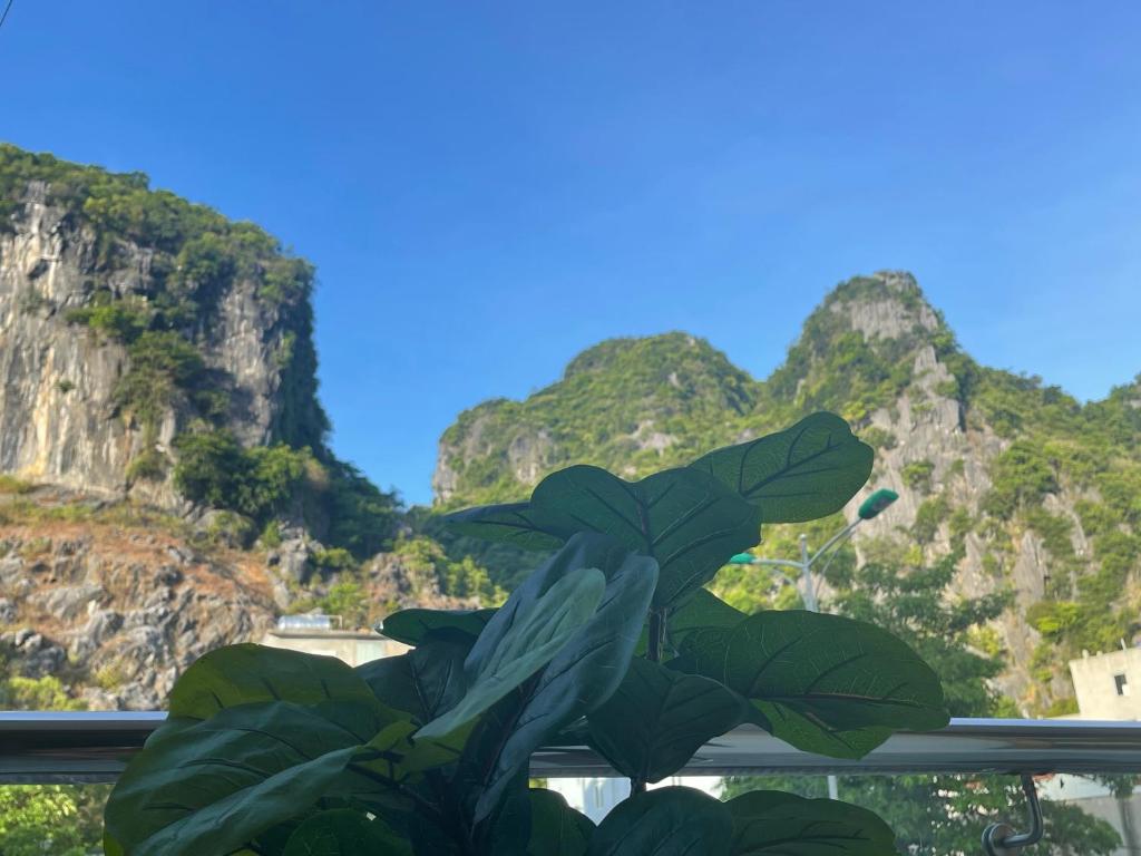 THE OWL HOMESTAY — Hotel in Phong Nha
