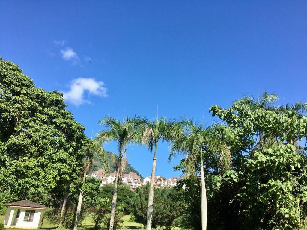 JUST NICE ,Selesa hillhome bukit tinggi bentong photo