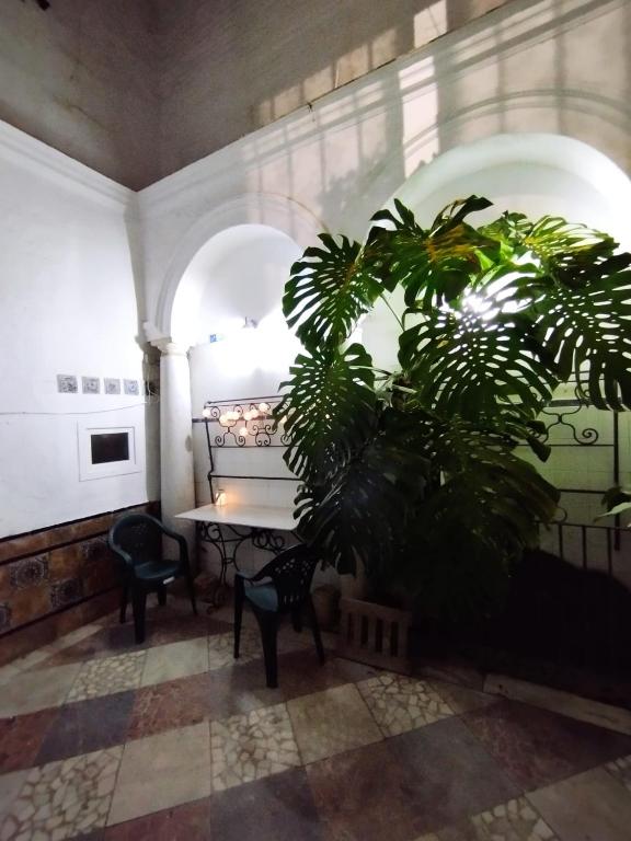 Piso en el casco antiguo con patio privado - 1