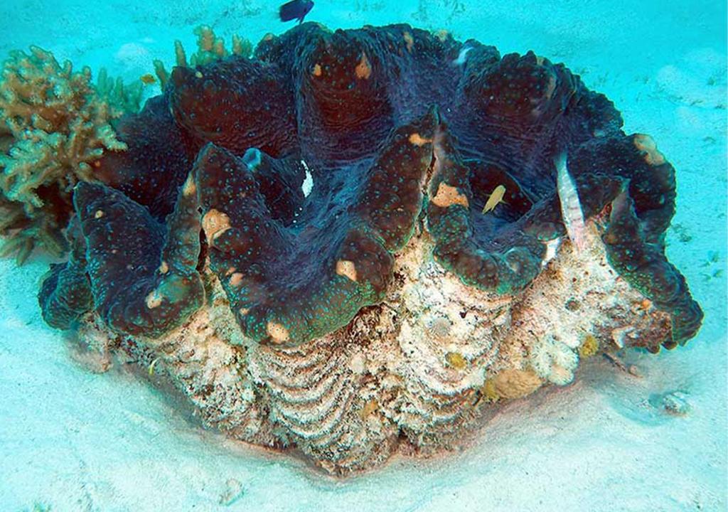 กีฬาและกิจกรรมสันทนาการ