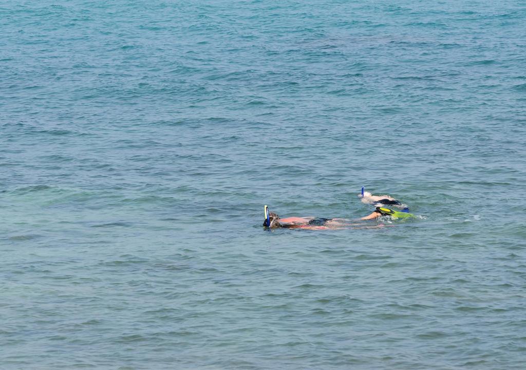 กิจกรรม