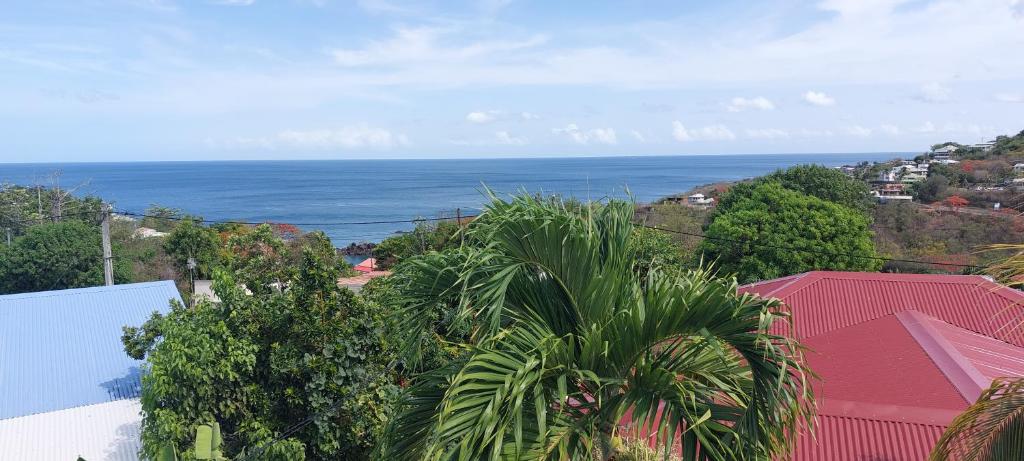 Label kafé, Bouillante