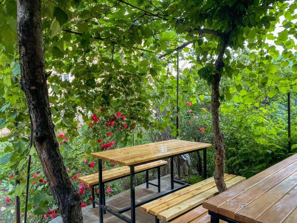 Garden, Aregak B&B and Tours in Goris