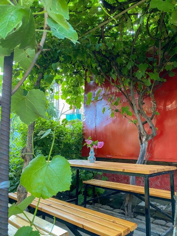 Garden, Aregak B&B and Tours in Goris