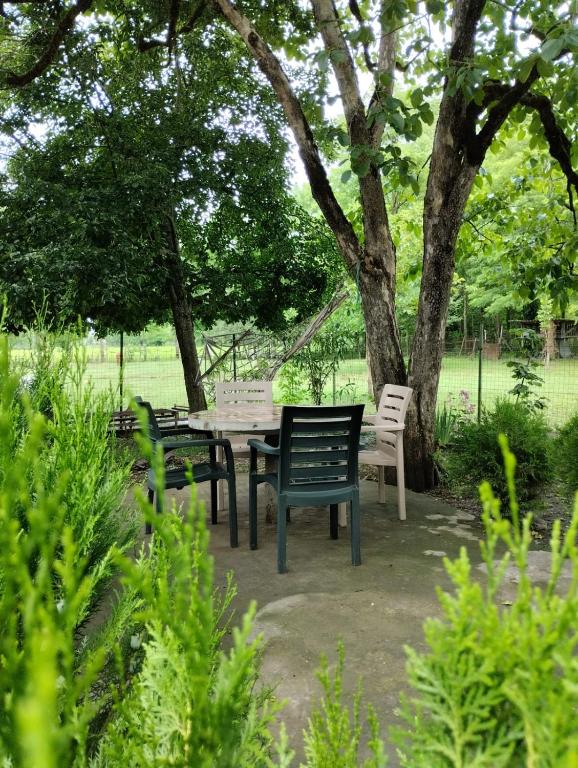 Martvili Guesthouse — Hotel in Martvili