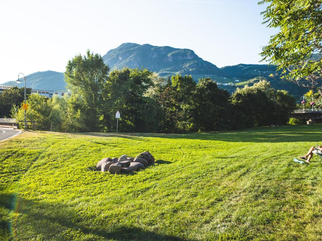 Bolzano with a view - 3