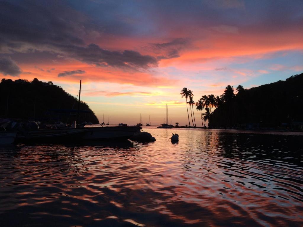 Marigot Palms Luxury Caribbean Apartment Suites photo
