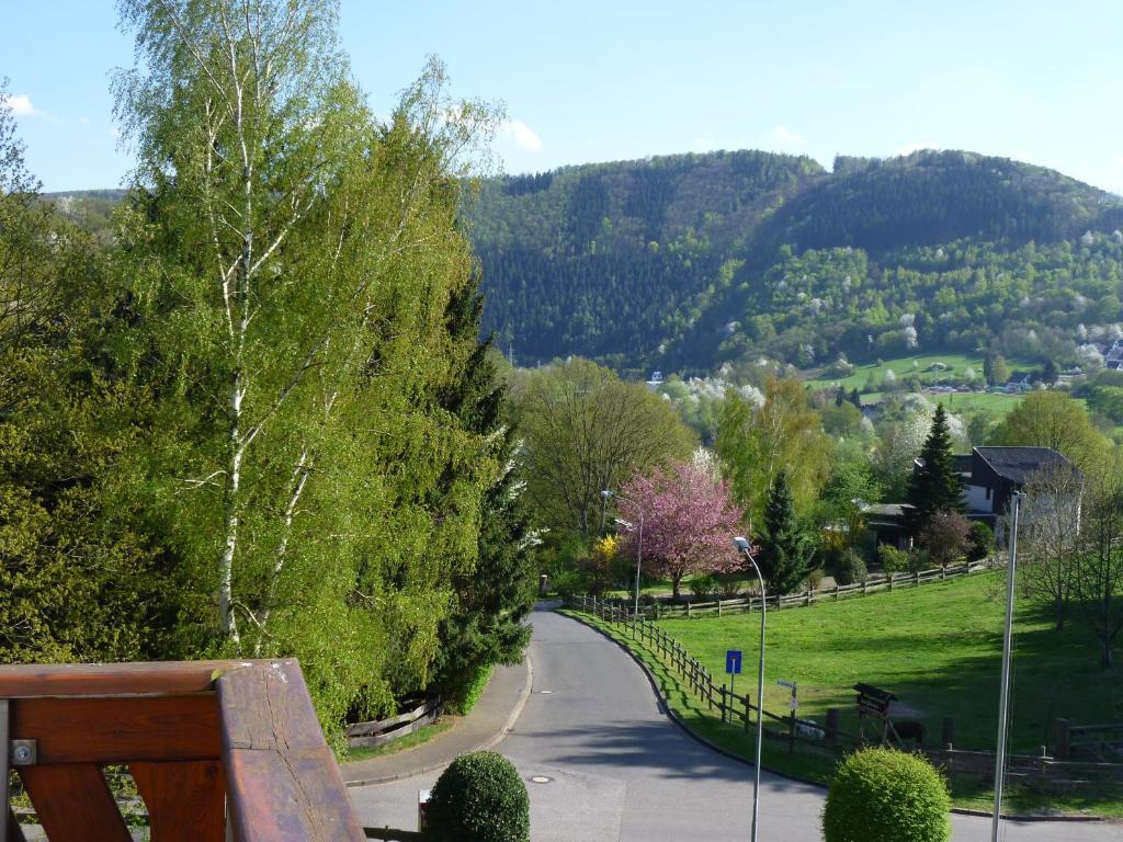 Pension Haus Diefenbach photo