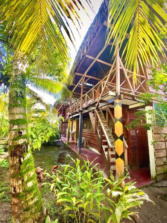 Casa de la Iguana photo