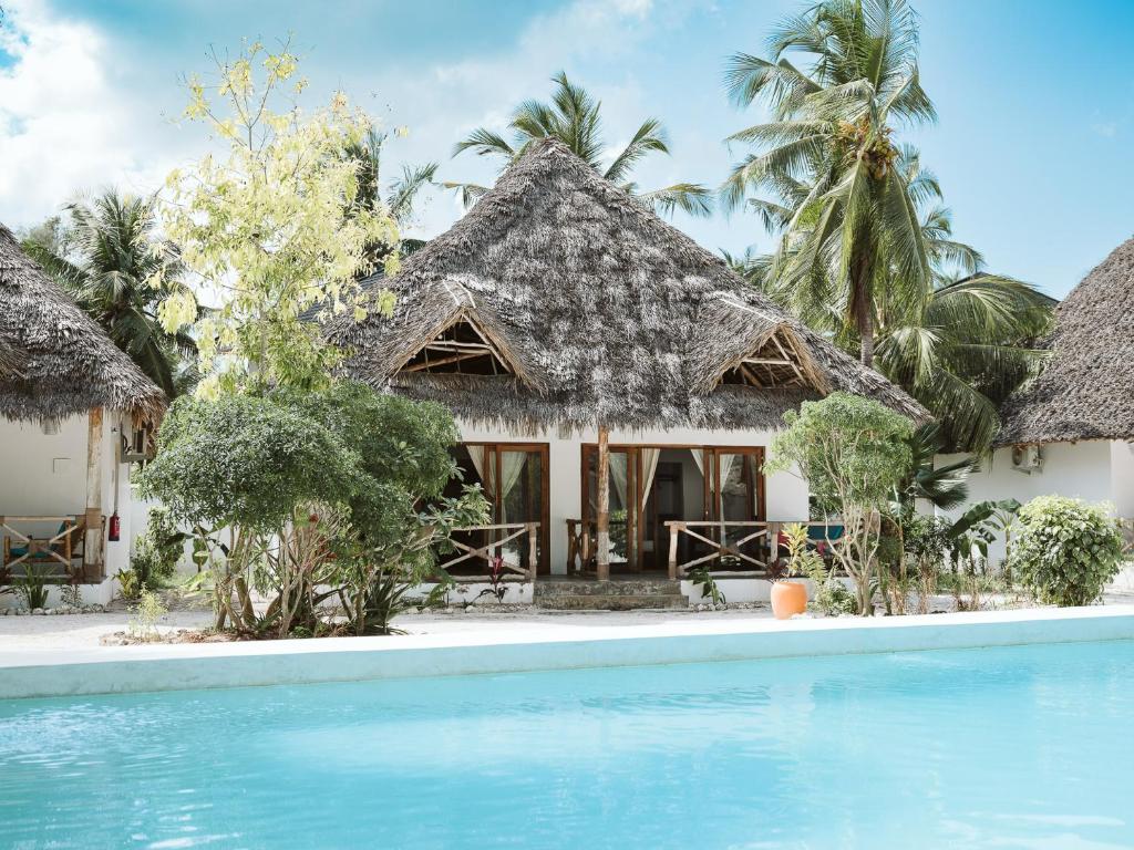 Joy Of Zanzibar photo