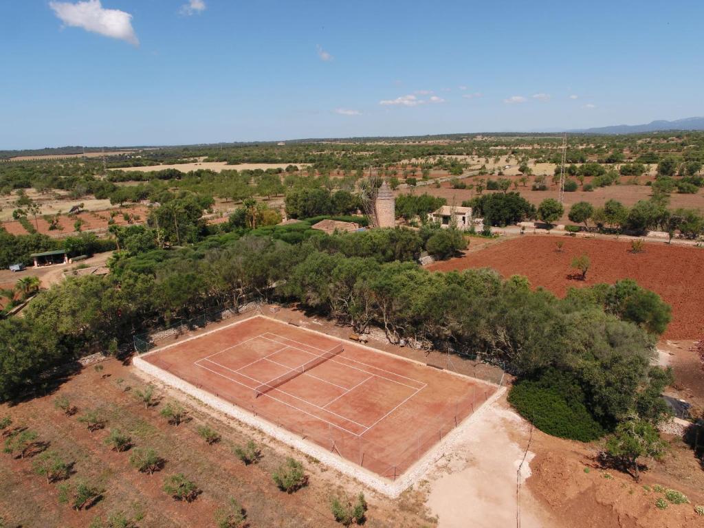 Holiday Home Moli de Son Vidal by Interhome - 5