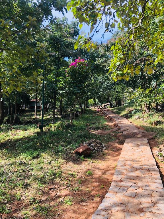 The Tamarai Yelagiri photo