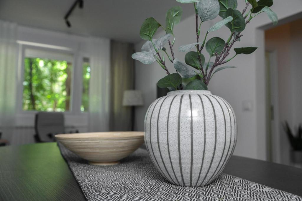 Apartment GREEN - 5