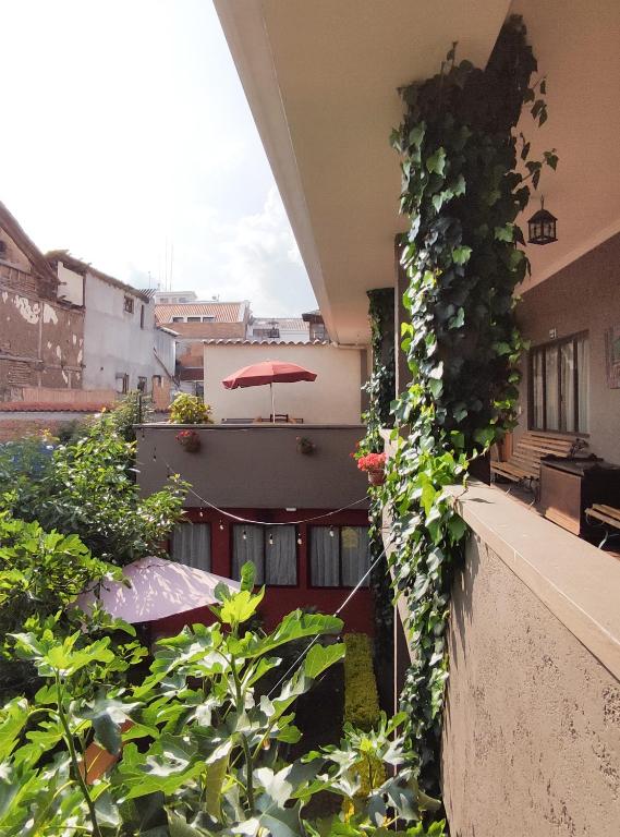 Hotel Casa Merced photo