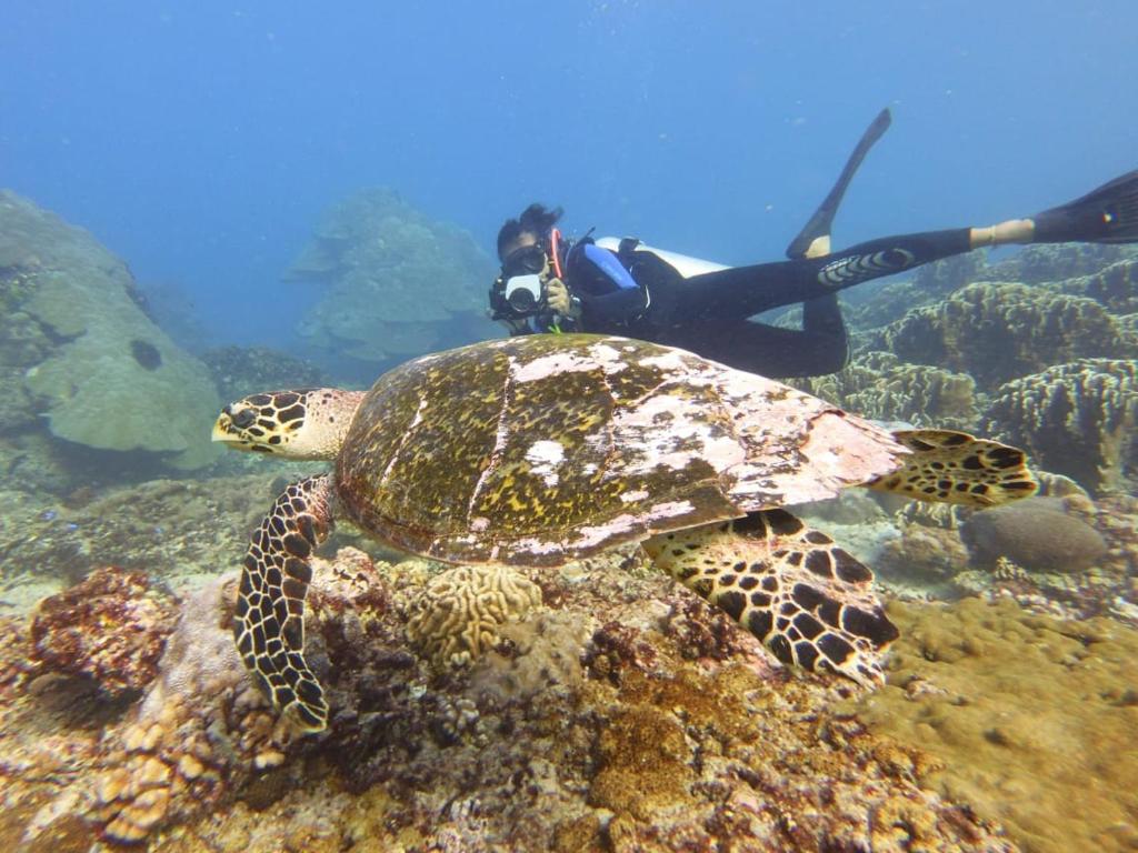 The Sagara Penida Nusa Penida