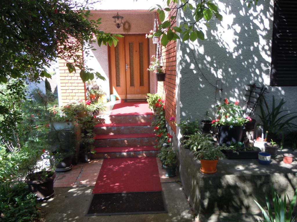 Apartmani Sobe BILJANA photo