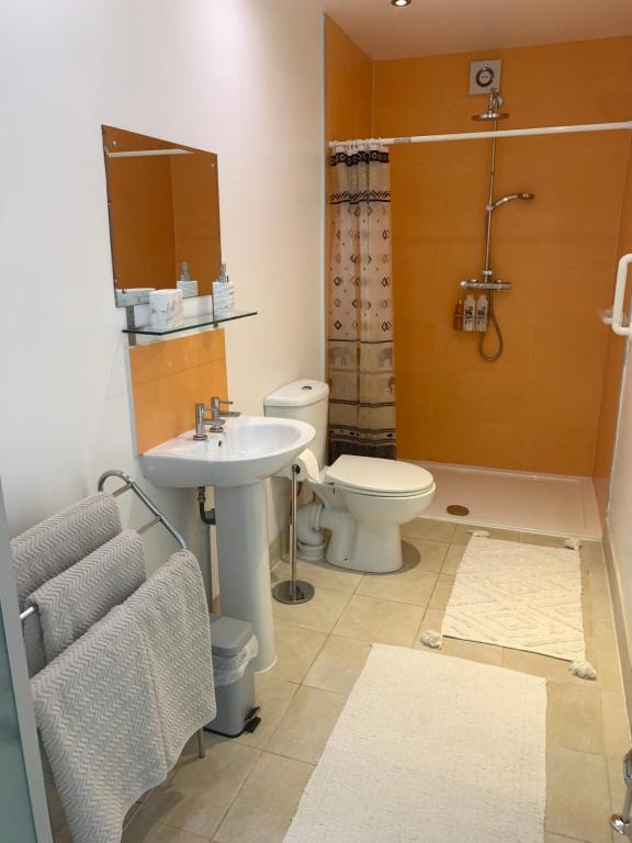 Puffin Annexe, Falmouth photo 2