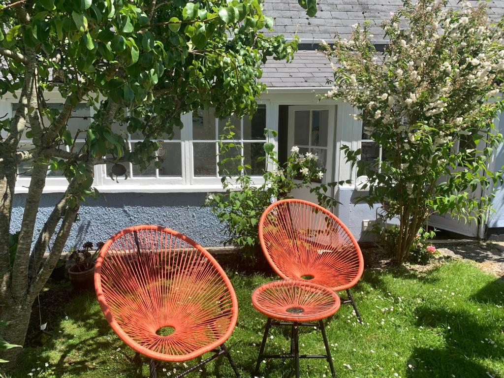 Puffin dog-friendly self-catering annexe in central Falmouth