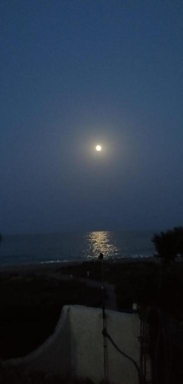 APARTAMENTO BAJO NATURISTA A PIE DE PLAYA. - 3