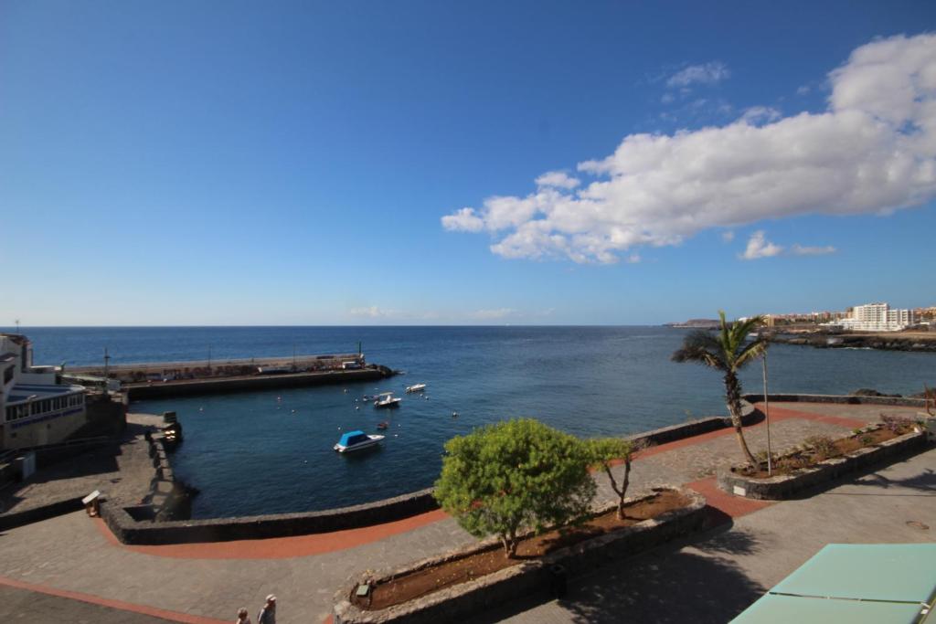 Apartamentos Isla Tenerife Sur photo
