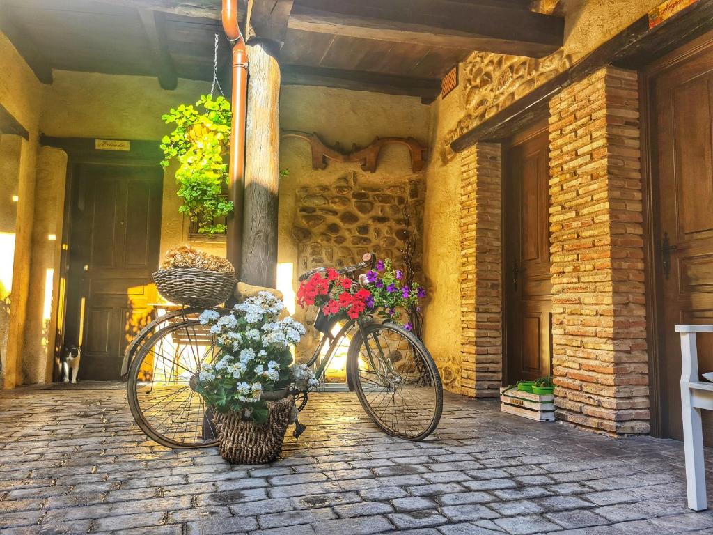 Albergue El Encanto photo