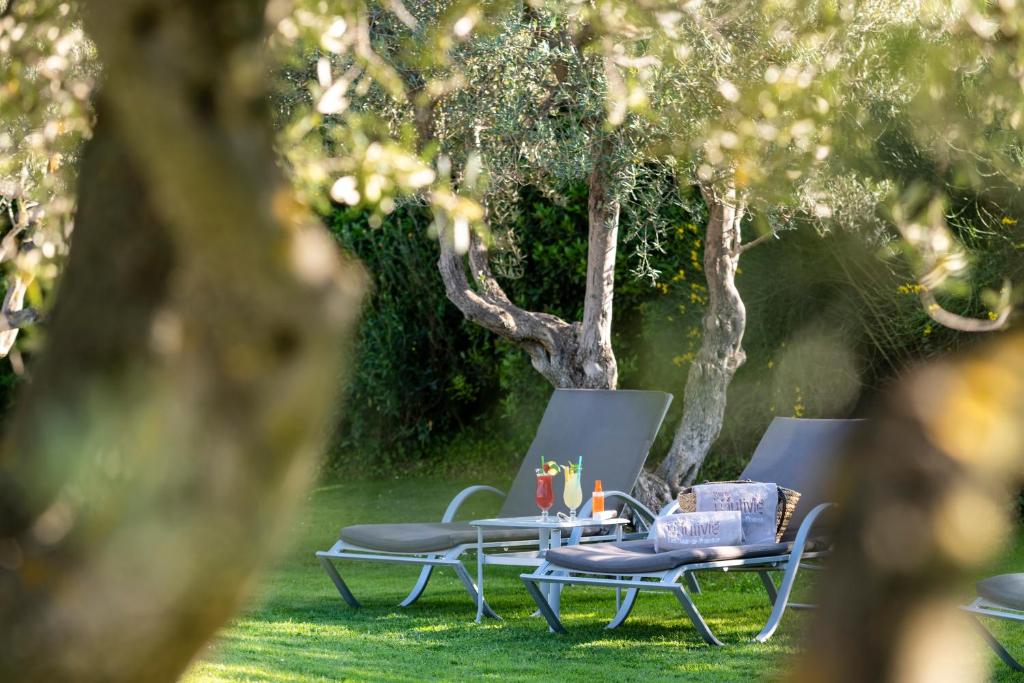 Mas de l Oulivie Hotel photo