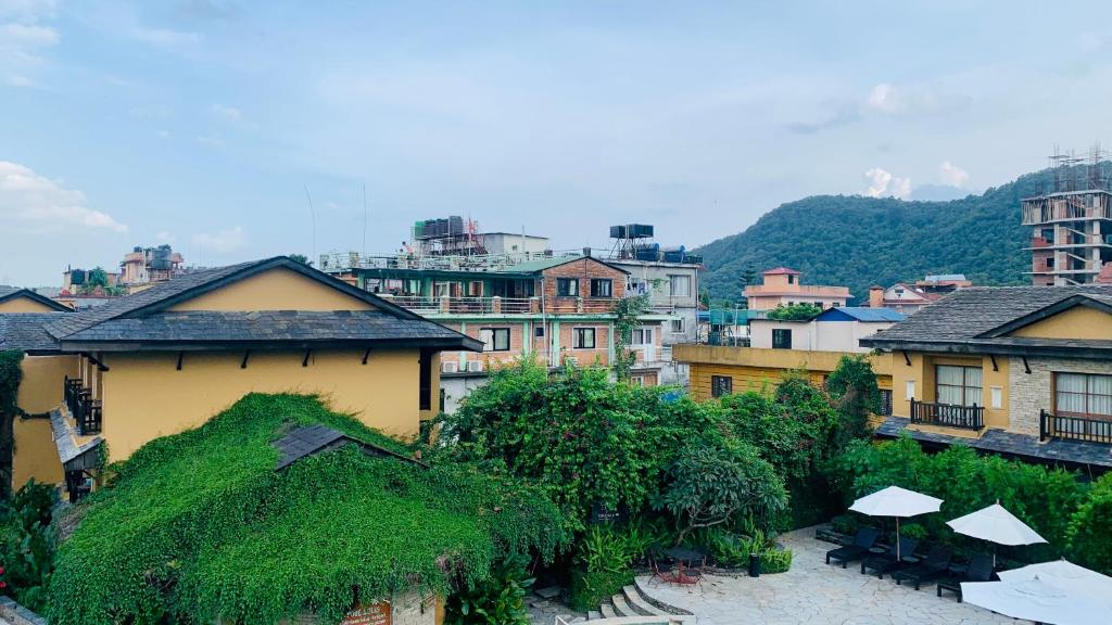 Surrounding environment