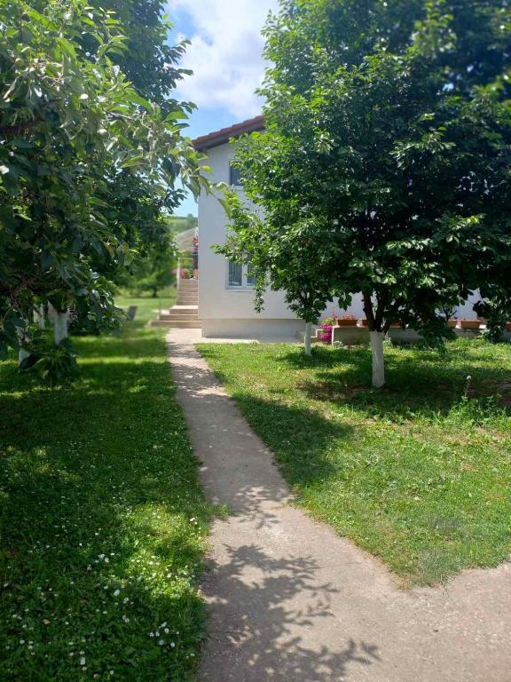 Apartman Flora Vrdnik, Vrdnik