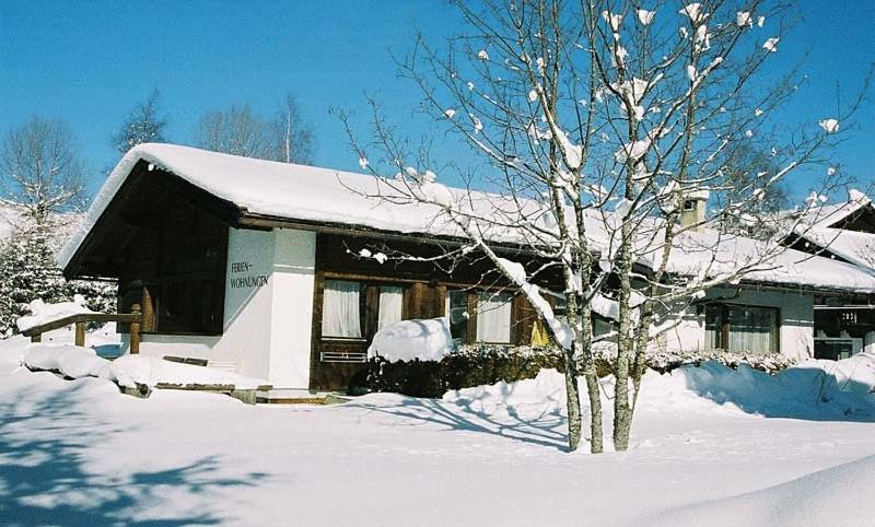 Haus Flora - 5