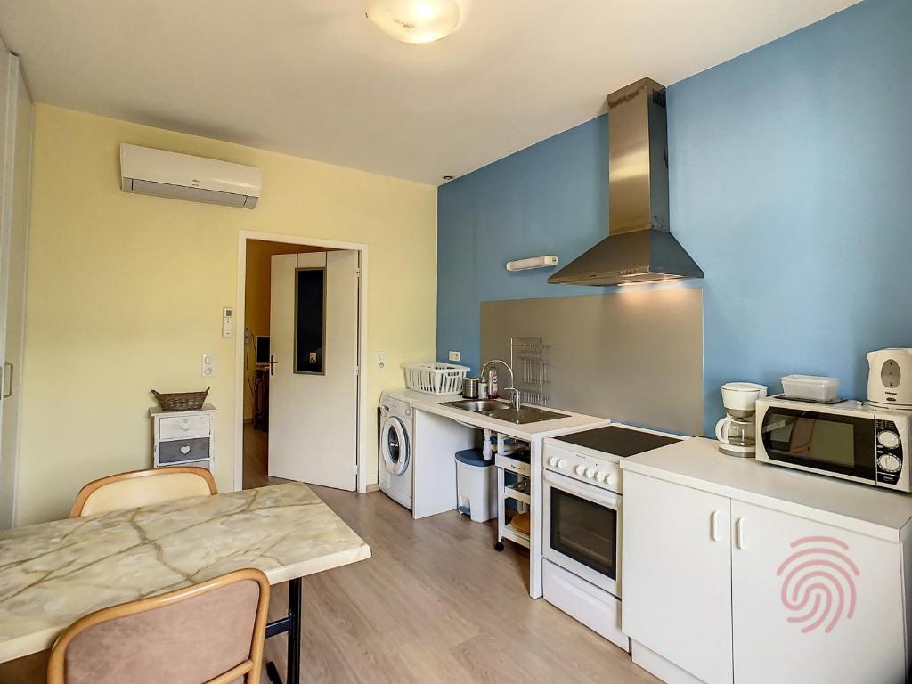 Charmant F2 climatisé avec terrasse, proche Thermes, parking privé, animaux acceptés - FR-1-451-163 - 1