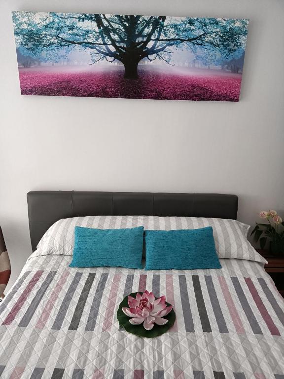 ESTUDIO EMMA, Torrevieja