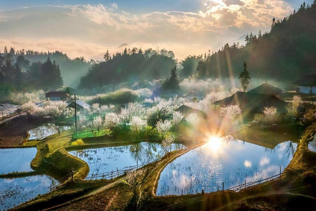 Nobita Homestay bac ha