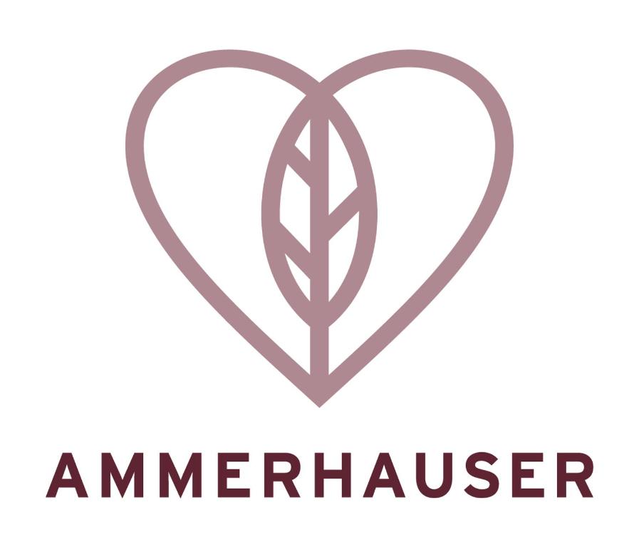 Hotel-Restaurant Ammerhauser — Hotel in Anthering