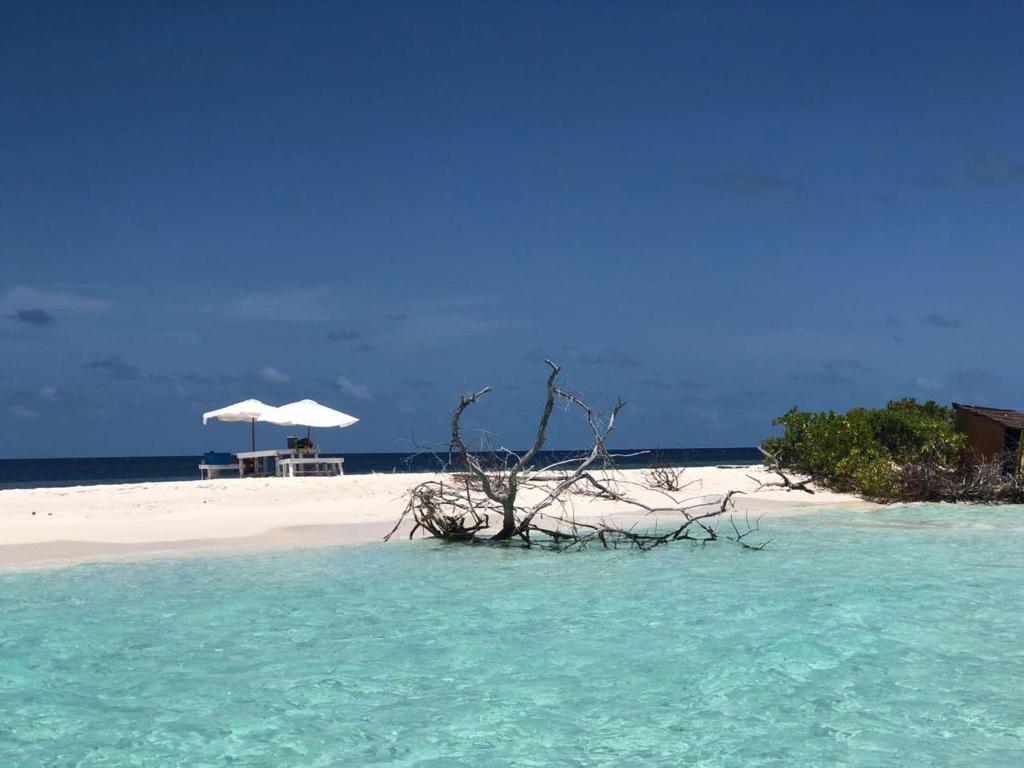Surrounding environment