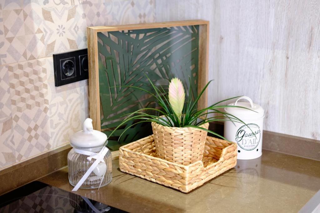 APARTAMENTO VINTAGE EN EL CENTRO DE MALAGA photo