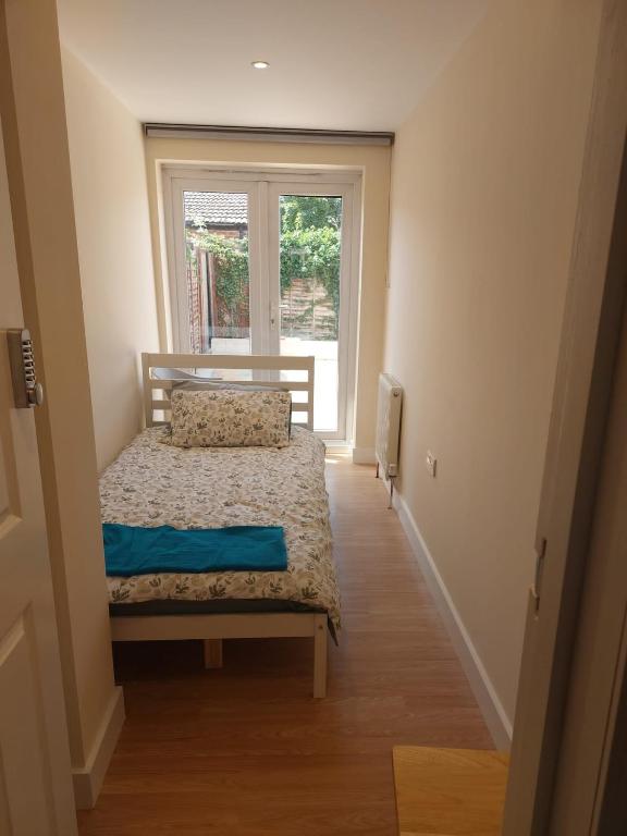 Vibrant Single Room photo